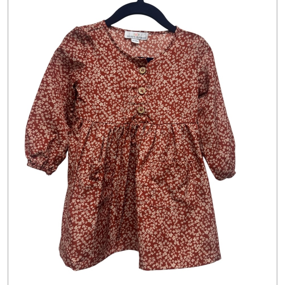 Bailey’s Blossoms Russet Floral Design Dress Size 12-18mo